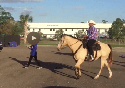 cespedes horse