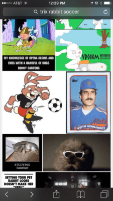 trix rabbit soccer